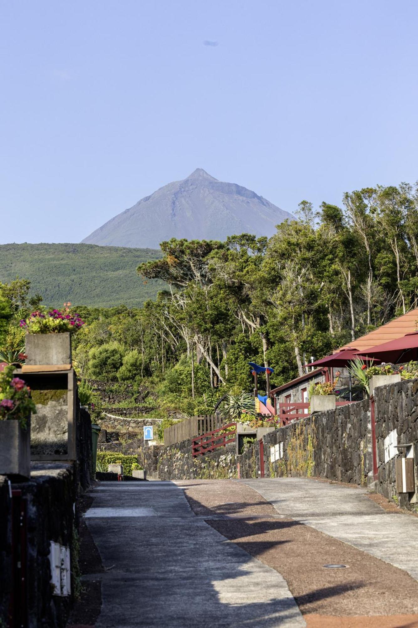 Aldeia Das Adegas Sao Roque do Pico Exterior photo